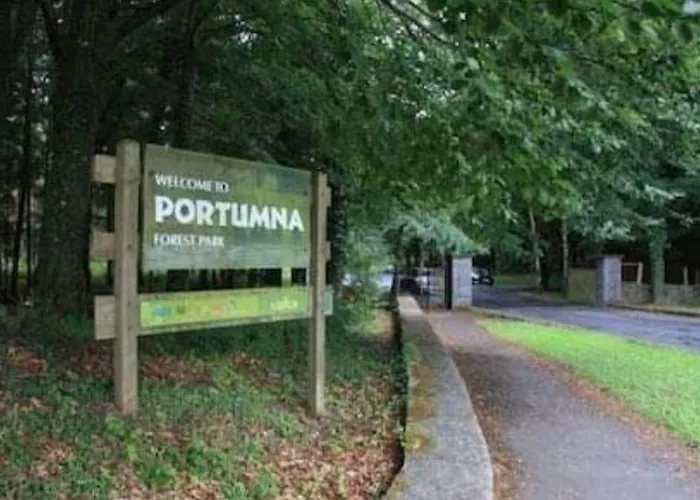 Hidden Hearts Apartment Roscrea